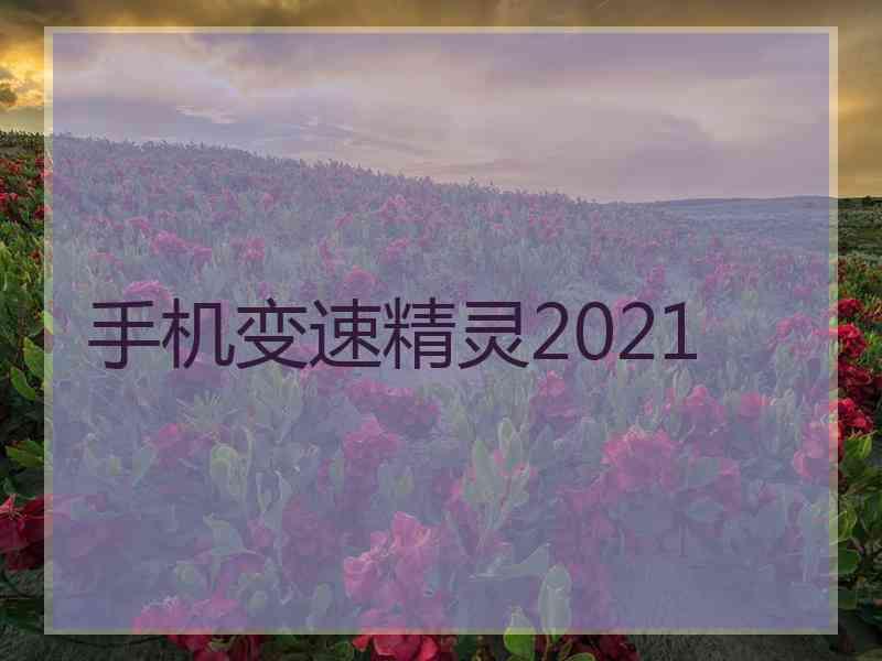 手机变速精灵2021