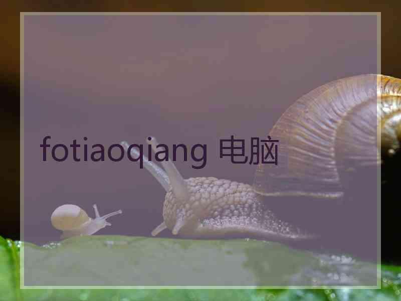 fotiaoqiang 电脑