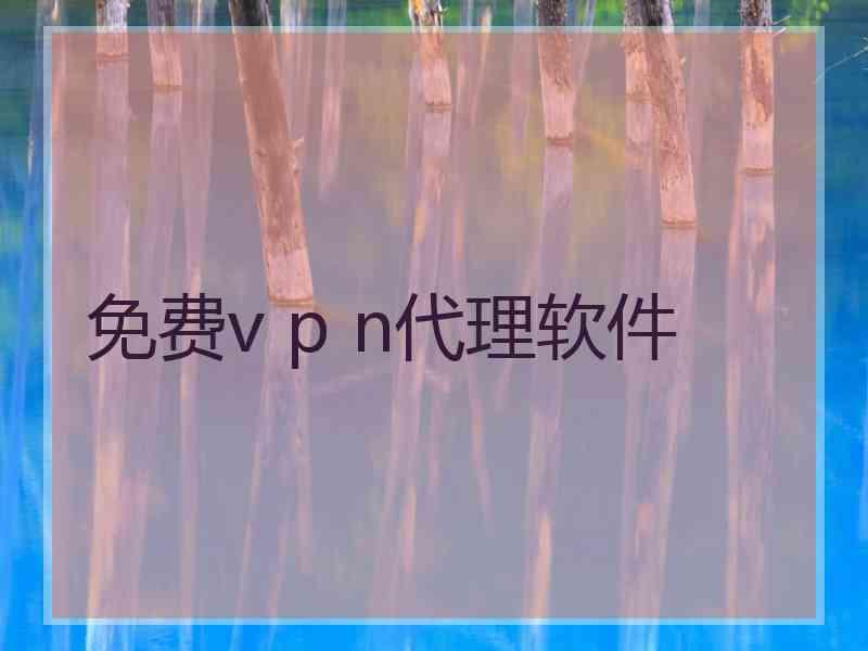 免费v p n代理软件