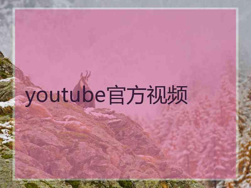 youtube官方视频