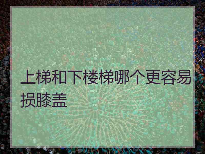 上梯和下楼梯哪个更容易损膝盖