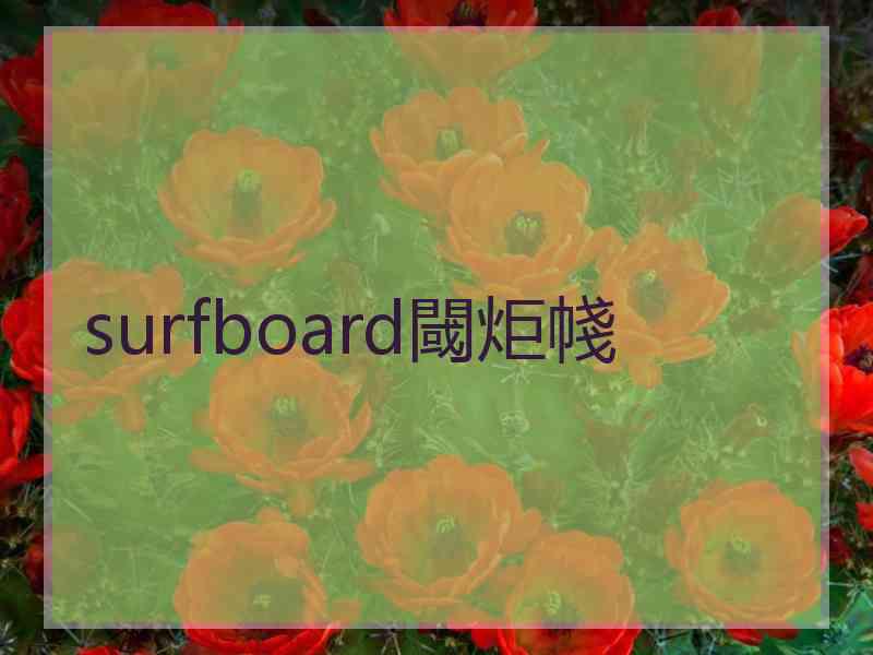 surfboard閾炬帴