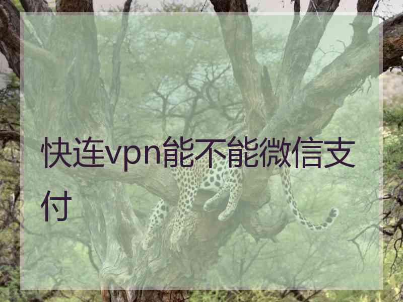 快连vpn能不能微信支付