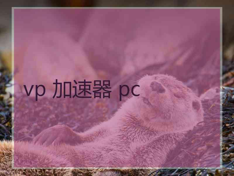 vp 加速器 pc