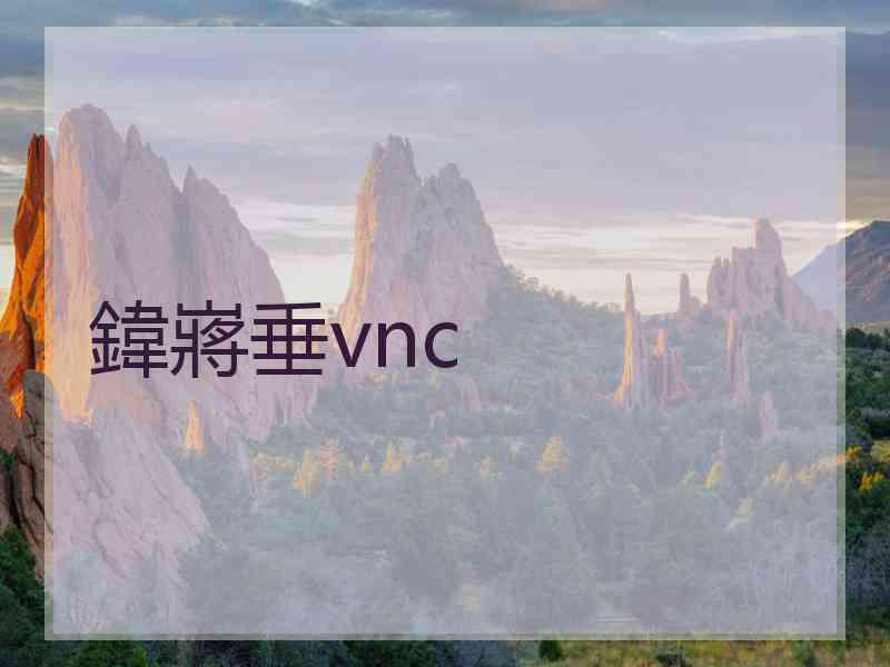 鍏嶈垂vnc