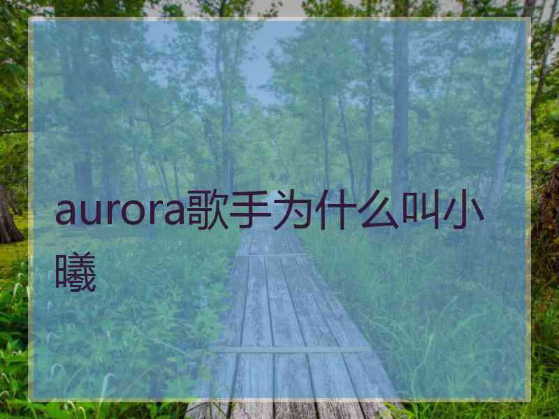 aurora歌手为什么叫小曦