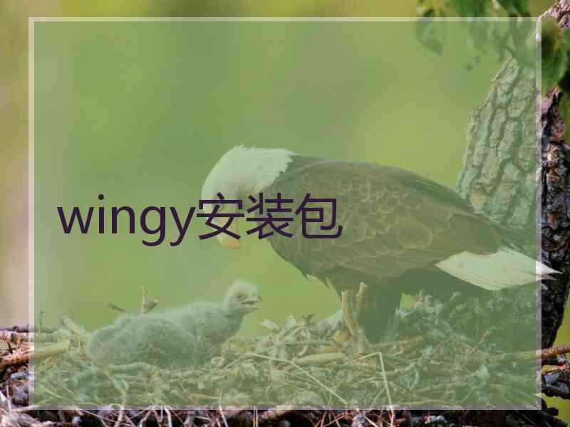 wingy安装包