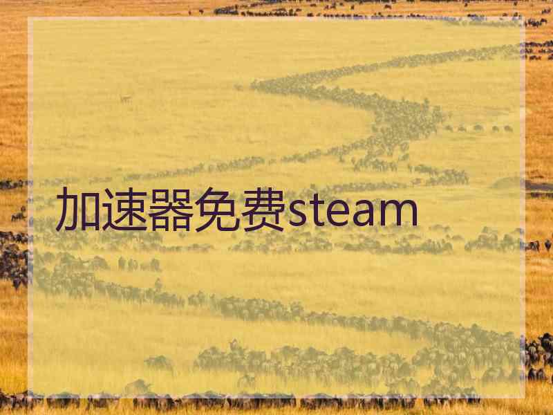 加速器免费steam