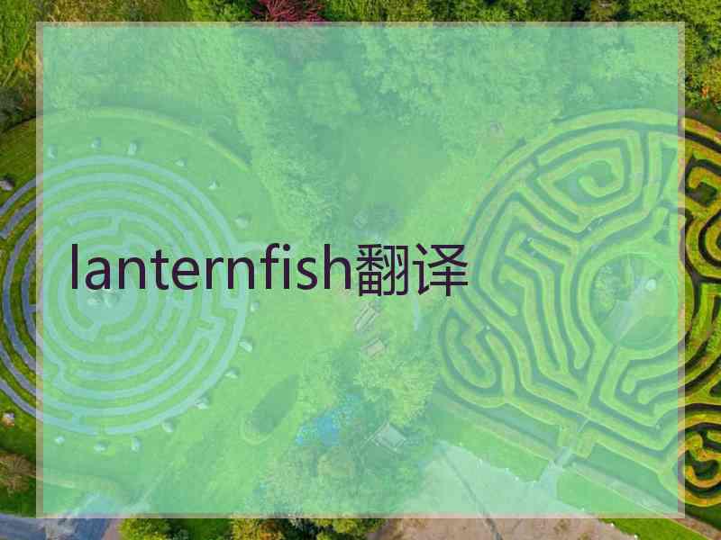 lanternfish翻译