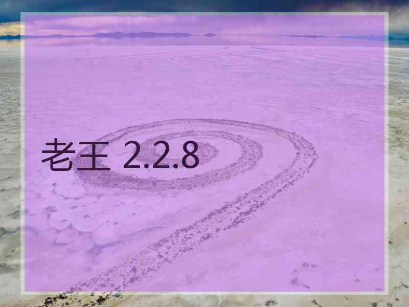 老王 2.2.8