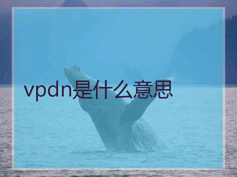 vpdn是什么意思