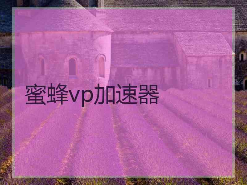 蜜蜂vp加速器