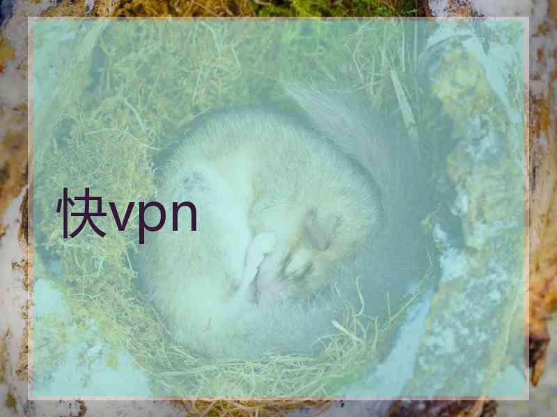 快vpn