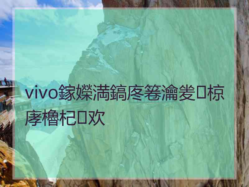 vivo鎵嬫満鎬庝箞瀹夎椋庨櫓杞欢