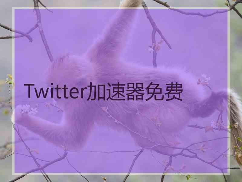 Twitter加速器免费