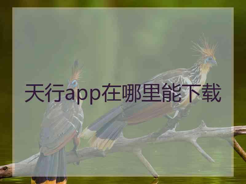 天行app在哪里能下载