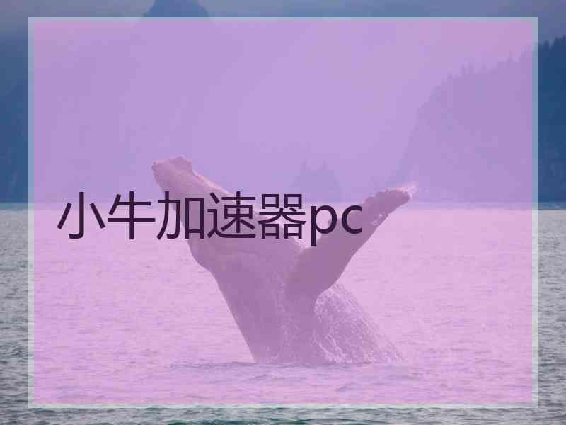 小牛加速器pc