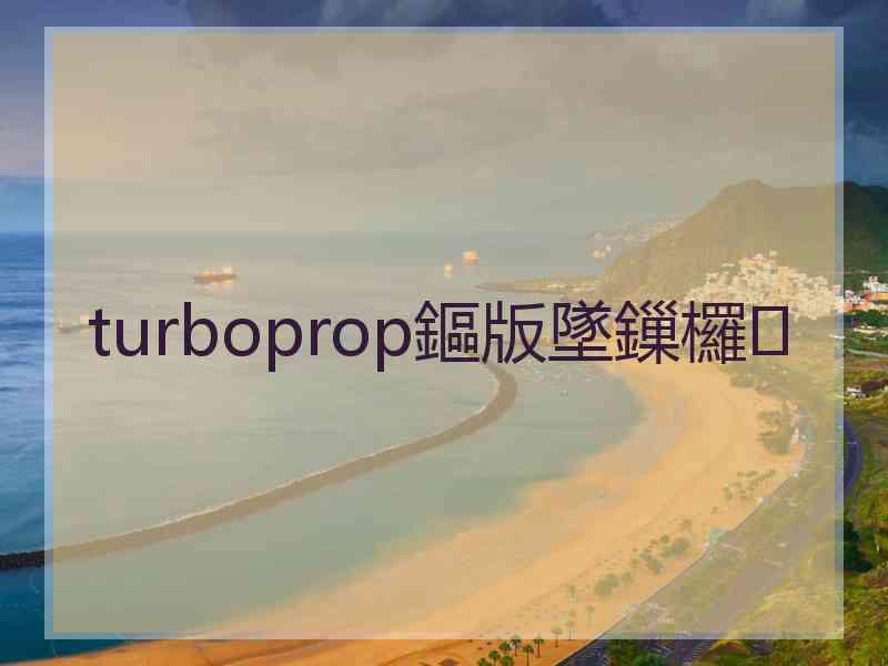 turboprop鏂版墜鏁欏