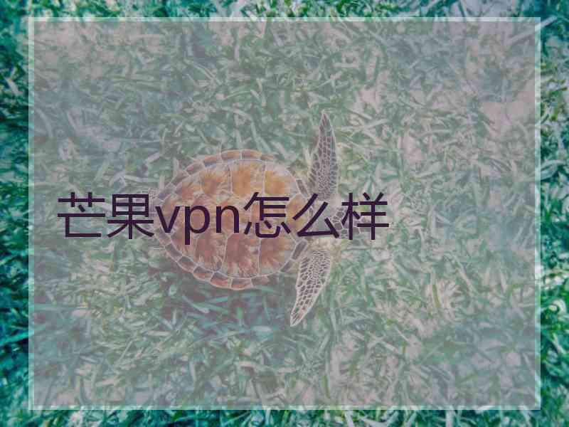 芒果vpn怎么样