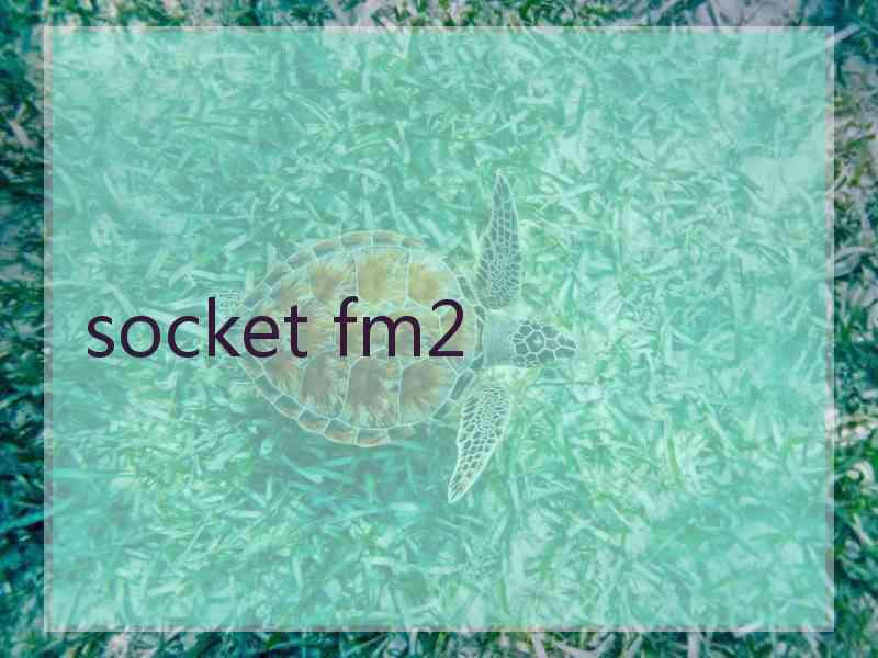 socket fm2