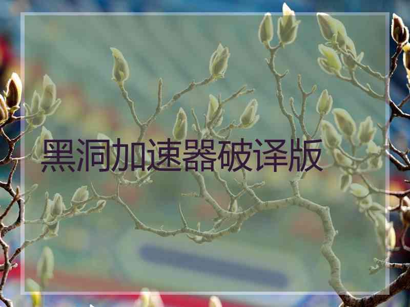 黑洞加速器破译版