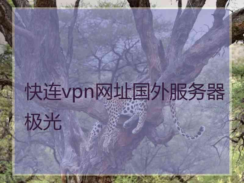 快连vpn网址国外服务器极光