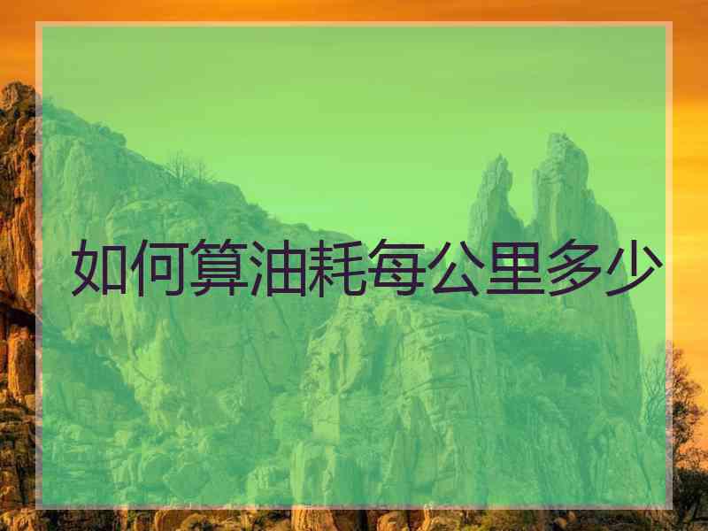 如何算油耗每公里多少