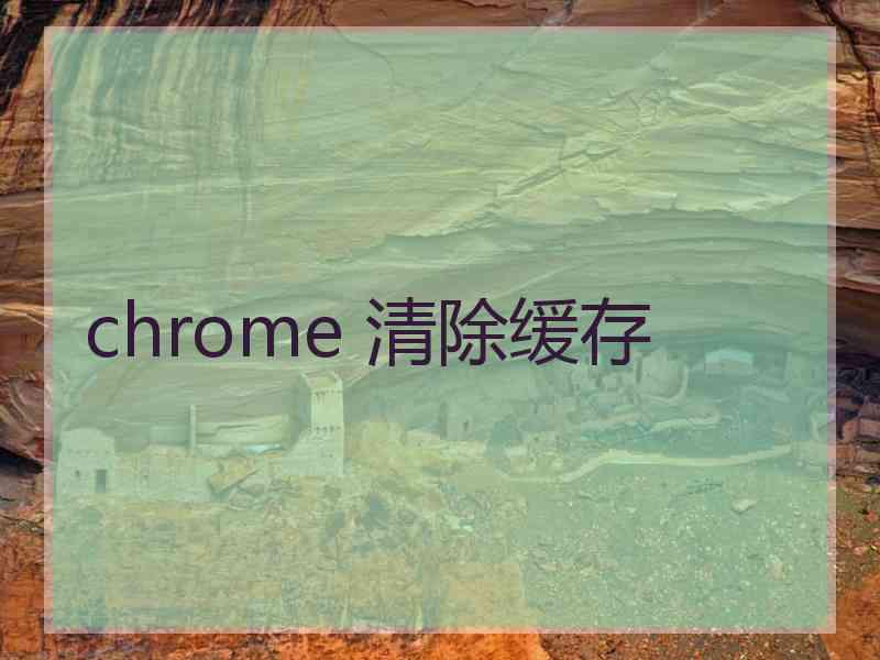 chrome 清除缓存