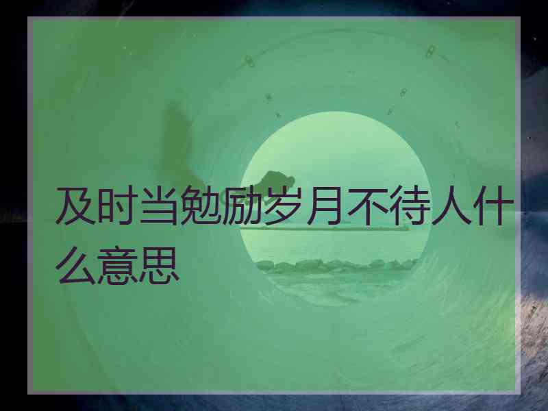 及时当勉励岁月不待人什么意思