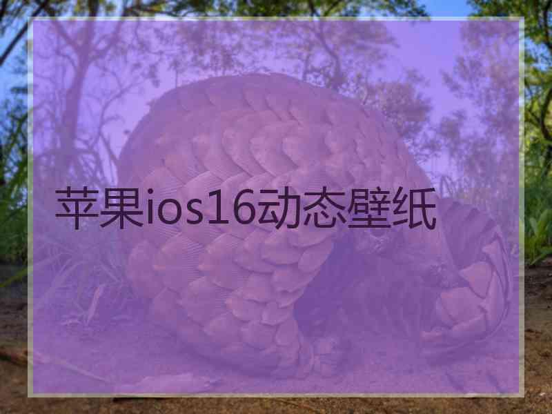 苹果ios16动态壁纸