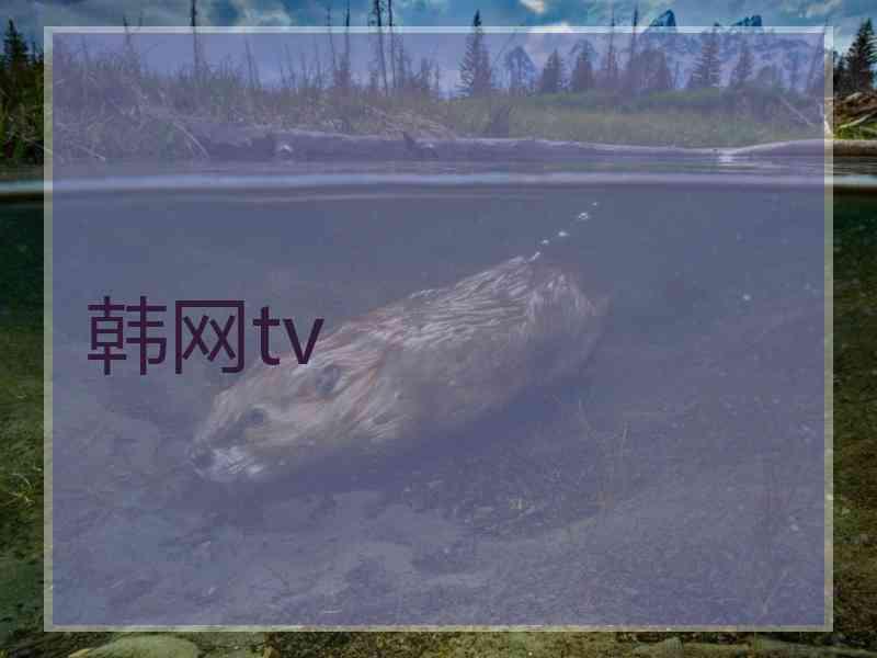 韩网tv