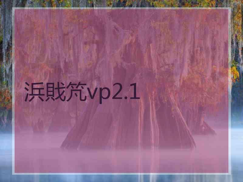 浜戝竼vp2.1