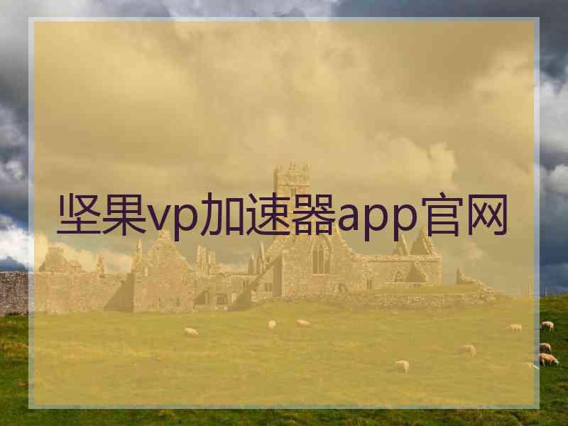 坚果vp加速器app官网