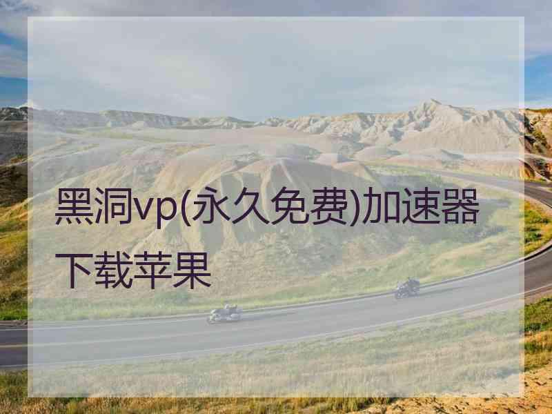 黑洞vp(永久免费)加速器下载苹果