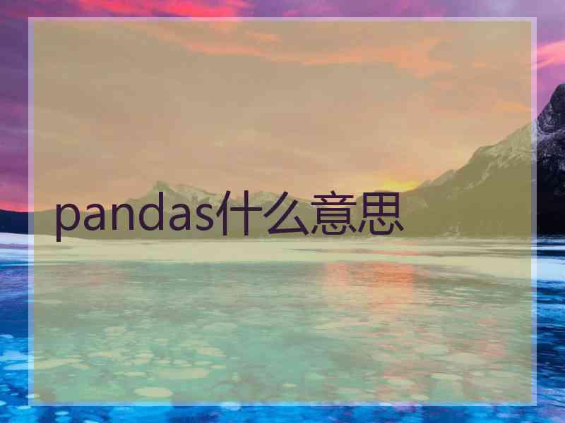 pandas什么意思