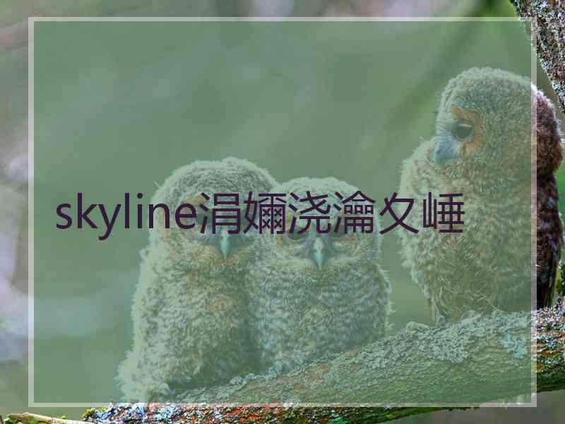 skyline涓嬭浇瀹夊崜