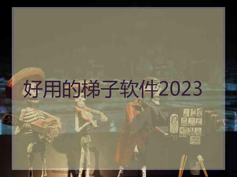 好用的梯子软件2023