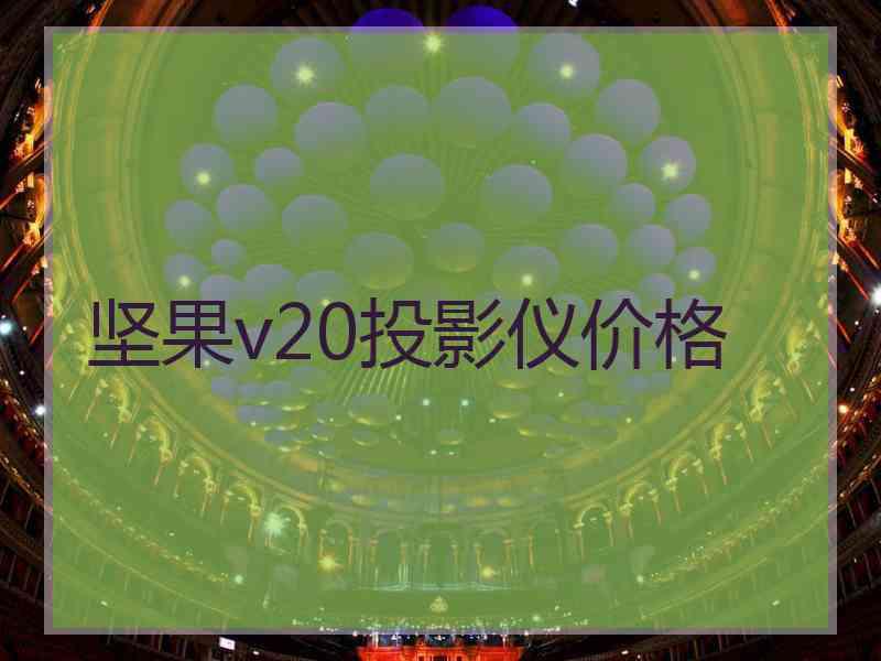 坚果v20投影仪价格