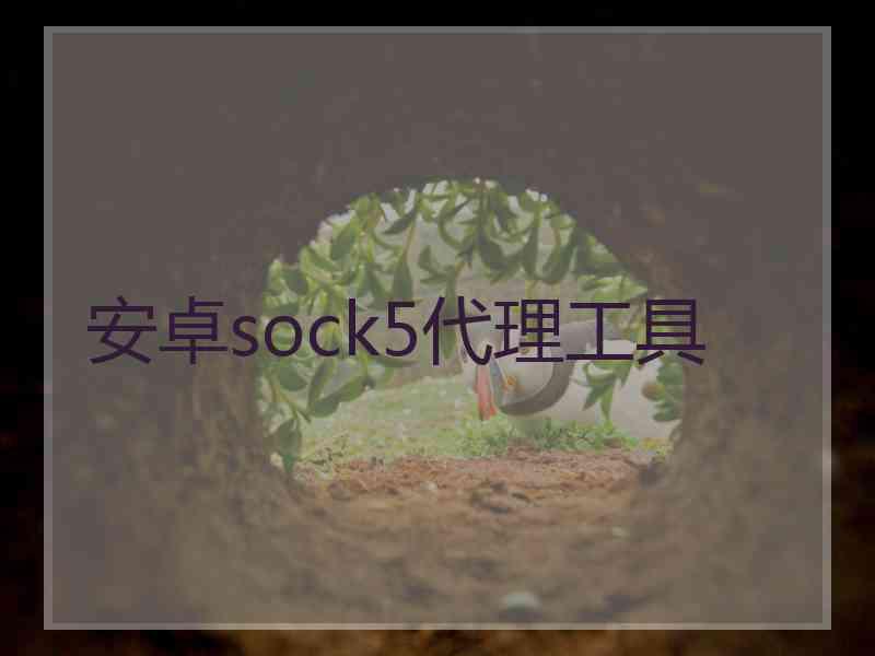 安卓sock5代理工具