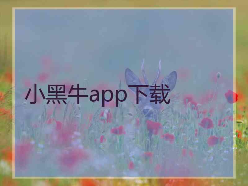 小黑牛app下载