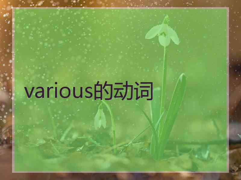 various的动词