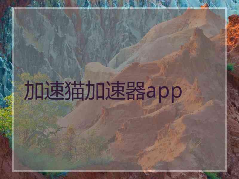 加速猫加速器app