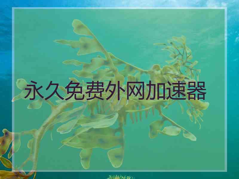 永久免费外网加速器