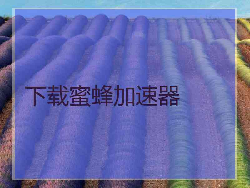 下载蜜蜂加速器