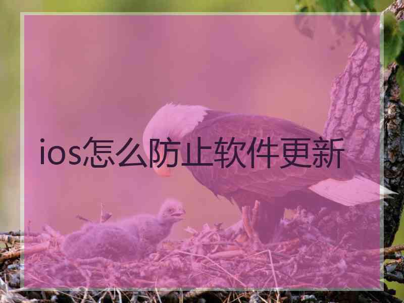 ios怎么防止软件更新