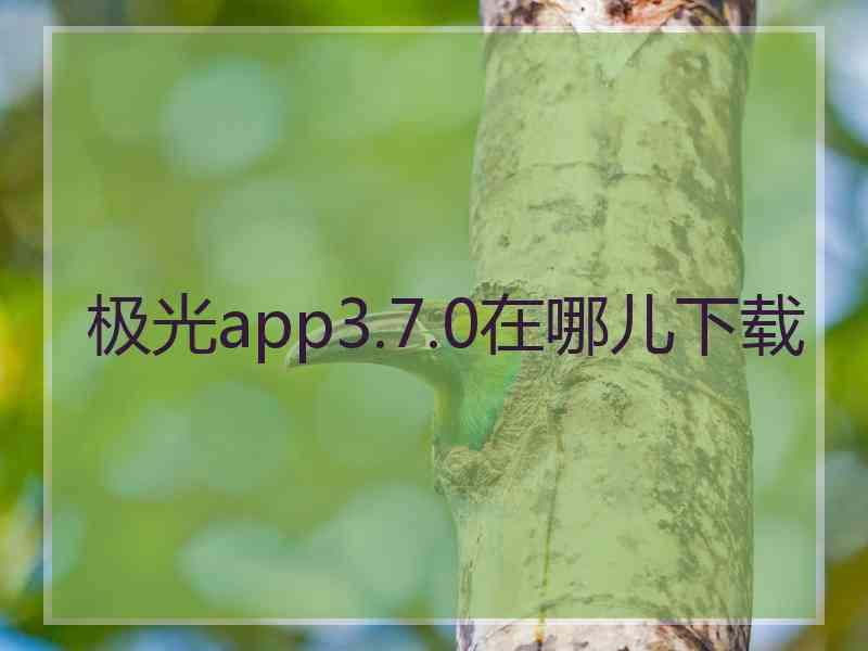 极光app3.7.0在哪儿下载