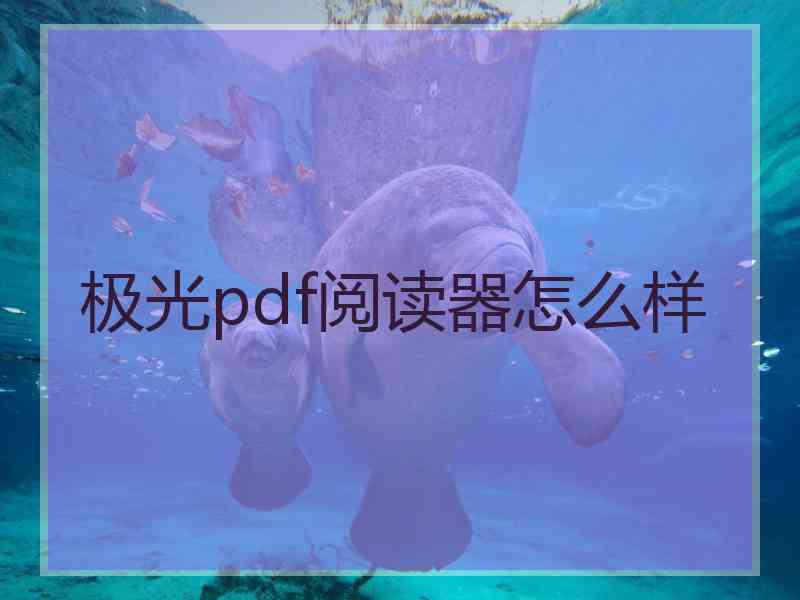 极光pdf阅读器怎么样