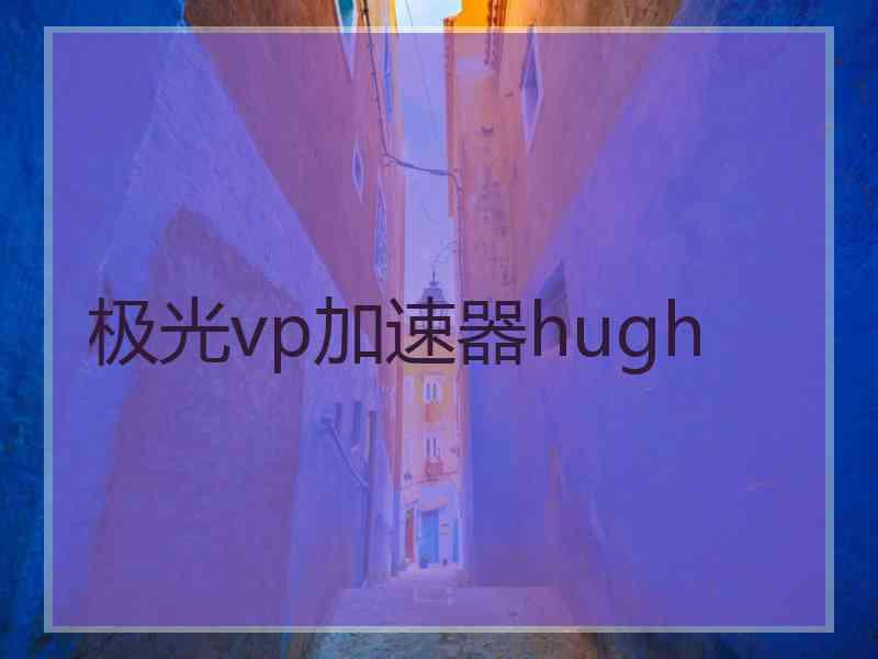 极光vp加速器hugh