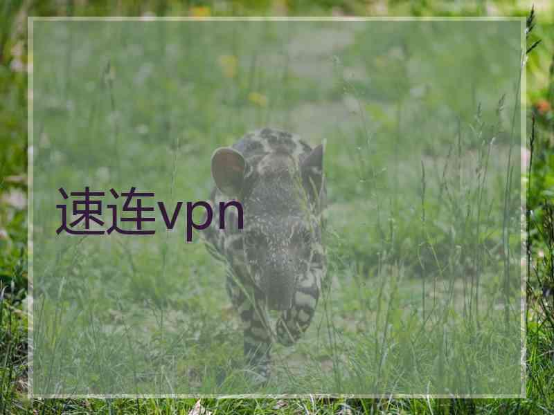 速连vpn