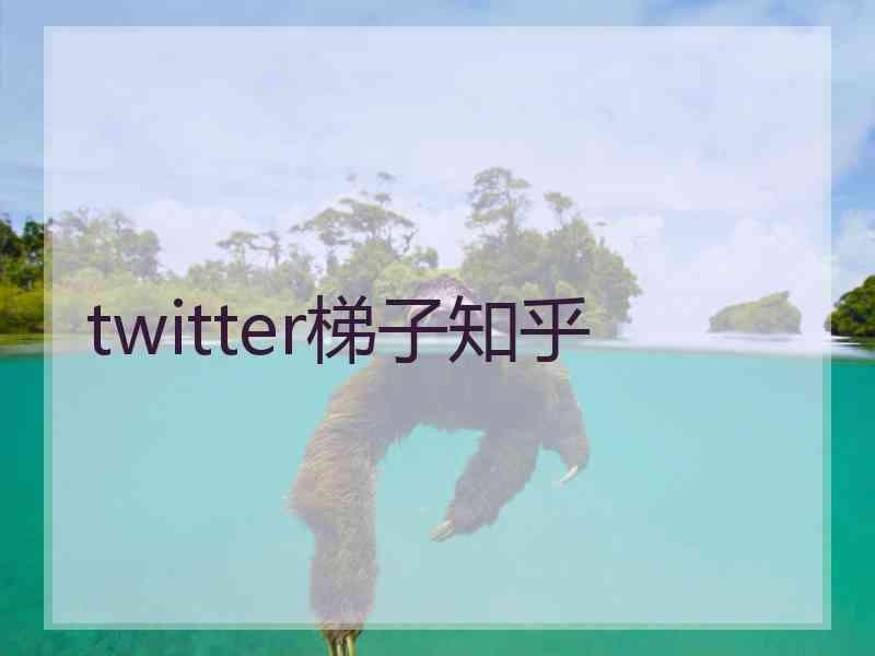 twitter梯子知乎